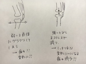 大腿四頭筋による、膝関節の安定を説明した図